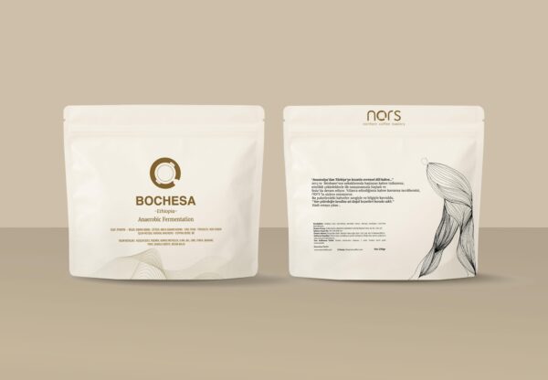 ethiopia-bochesa