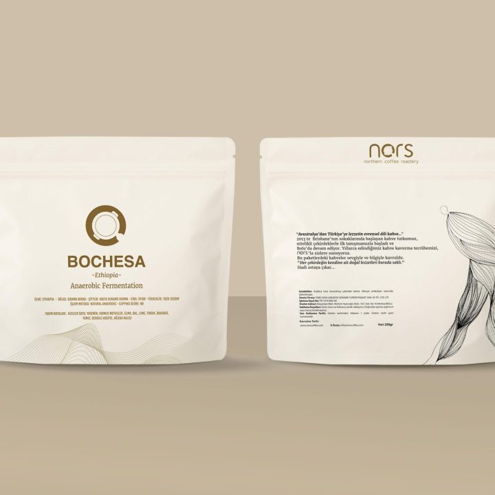 ethiopia-bochesa